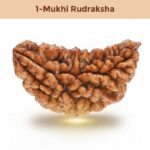 1 – Mukhi Rudraksha
