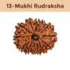 13– Mukhi Rudraksha