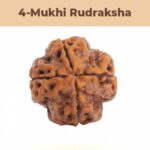 4– Mukhi Rudraksha